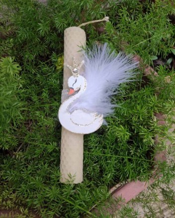 14  γ  λαμπαδα εκρου κυκνος (1)